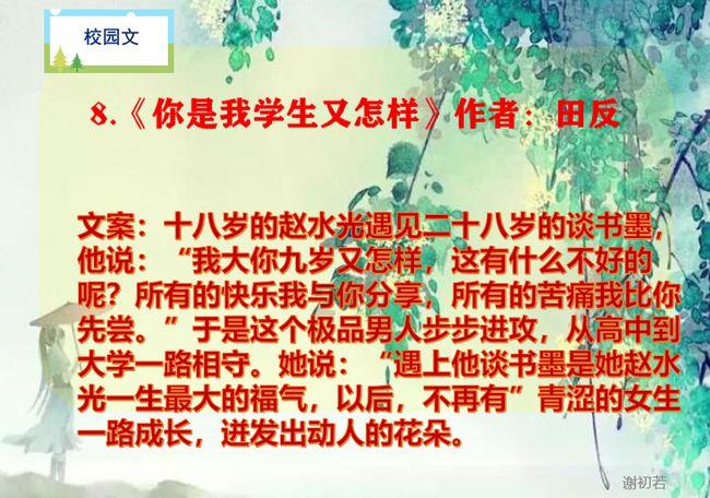 飞天小猪仔